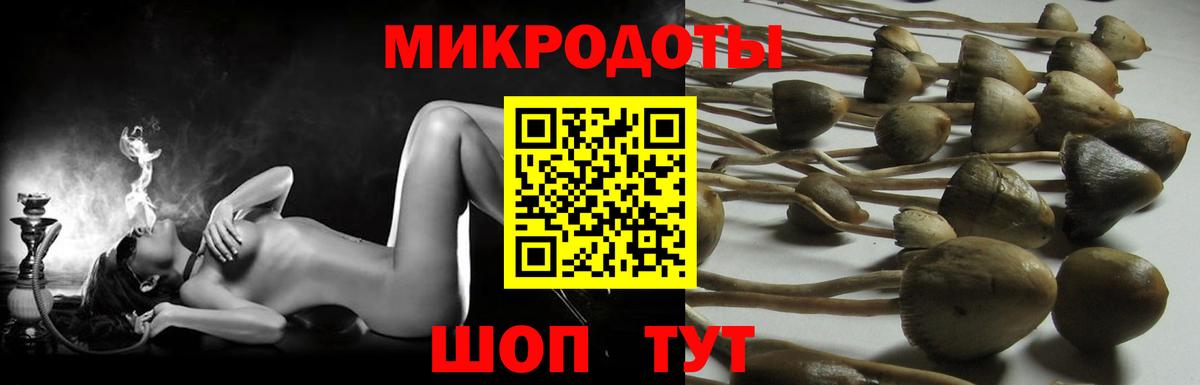 Кызыл  Псилоцибиновые грибы Magic Shrooms  Галлюциногенные грибы Cubensis  Вход с VPN 